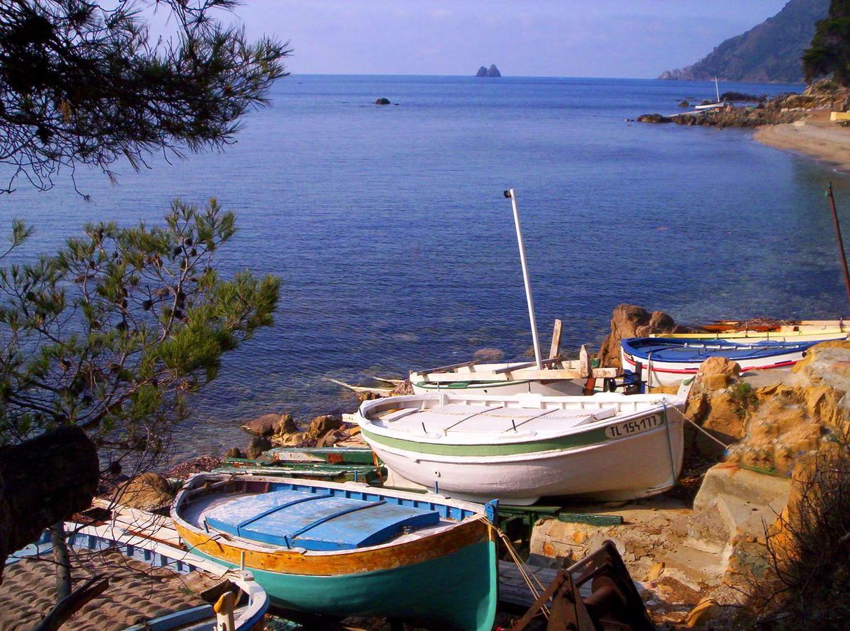 Camping Orly D'Azur Hotel ซิ-ฟูร์-เล-ปลาจ ภายนอก รูปภาพ